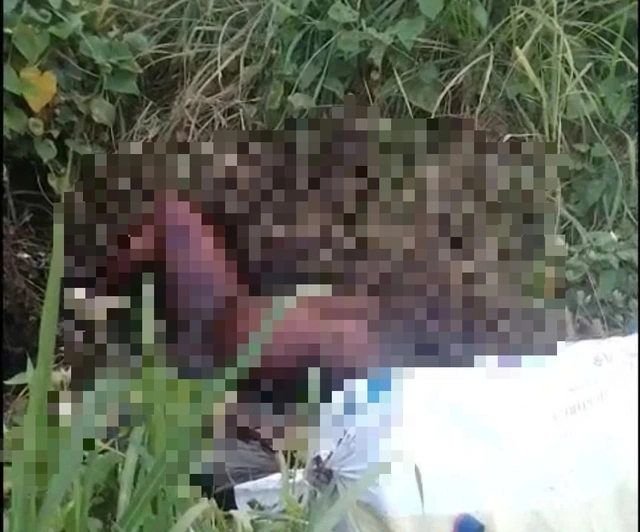 TP.HCM: Điều tra vụ tử thi lõa thể, khô hóa cạnh trạm thu phí