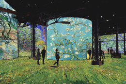 Thưởng thức mùa đông Jeju trọn vẹn với mọi giác quan