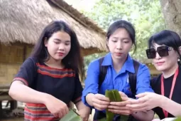 Vì sao ngày 24/11 được chọn là Ngày Văn hóa Việt Nam, người lao động được nghỉ?